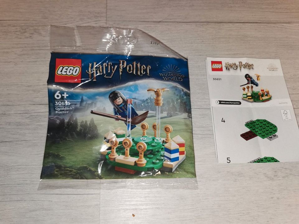 Lego 30651 Harry Potter Quidditsch 6 Jahre + in Giesen