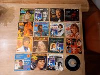 16 Singles Vinyl Bayern - Ilmmünster Vorschau