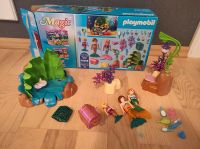 Playmobil Unterwasserwelt 70368 Nordfriesland - Simonsberg Vorschau