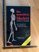 Anatomiebuch ‚Das menschliche Skelett‘ Baden-Württemberg - Lörrach Vorschau