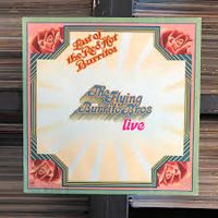 LP The Flying Burrito Bros Live - Last of the Red Hot Burritos Nordrhein-Westfalen - Dülmen Vorschau