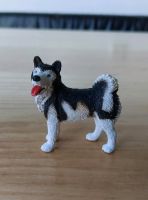 Schleich Husky Baden-Württemberg - Gärtringen Vorschau