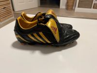 Fussballschuhe Adidas Predator 44 Fußballschuhe gold schwarz TRX Sachsen-Anhalt - Wanzleben Vorschau