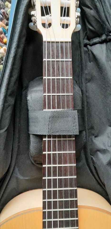 Gitarre - Pro Patura - silver series - maple 1/2 in Ibbenbüren