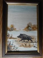 Bild Wildschwein mit Rahmen von Walter Ringel Havelland 12x17cm Wuppertal - Langerfeld-Beyenburg Vorschau