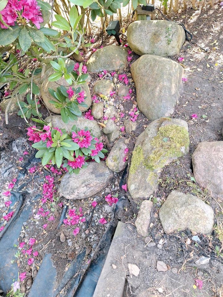 Steine für den Garten ca. 15 bis 55 cm lang in Kaltenkirchen