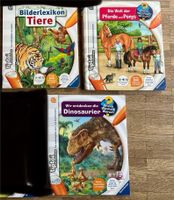 TipToi Set, 3 Bücher, Dinos, Tiere, Pferde 4-7 Jahre München - Sendling Vorschau