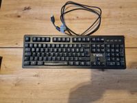 Tastatur Turtle Beach 100 Kr. Dachau - Dachau Vorschau