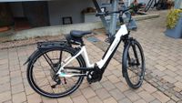 E-Bike Pegasus PREMIO Evo 10 Lite Größe 45 Baden-Württemberg - Uhingen Vorschau