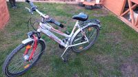 26 zoll Fahrrad Brandenburg - Herzberg/Elster Vorschau