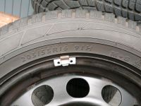 4 Winterreifen Golf Plus 205/ 55R16 91H Nordrhein-Westfalen - Werne Vorschau