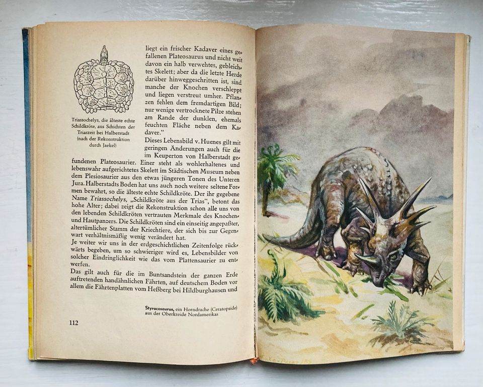 DDR Kinderbuch Jugendbuch „Mein Urweltzoo“ Conrad Vollmer 1955 in Dresden