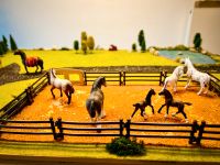 Pferdehof, Schleich, Stall, Koppel, Reitplatz, Bauernhof, 100x160 Kr. München - Feldkirchen Vorschau