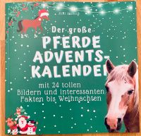 Adventskalender Pferde 24 Bilder und Fakten Neu Baden-Württemberg - Schönaich Vorschau