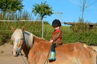 Eltern Kind Kruppe Pony reiten Pferde kennenlernen biss 7 Jahre Bayern - Geroda Vorschau