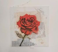 Bild Rose 77x77 cm, Leinwand Niedersachsen - Ronnenberg Vorschau