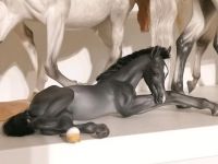 Modellpferd Resin Breyer Araber Nordrhein-Westfalen - Reken Vorschau