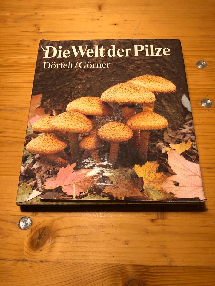 Ratgeber Pilze Buch Die Welt der Pilze Dörfelt/Görner in Zerbst (Anhalt)