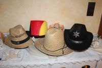 Karneval 4 Hüte einzeln zu verkaufen neu bis gut erhalten Nordrhein-Westfalen - Beelen Vorschau