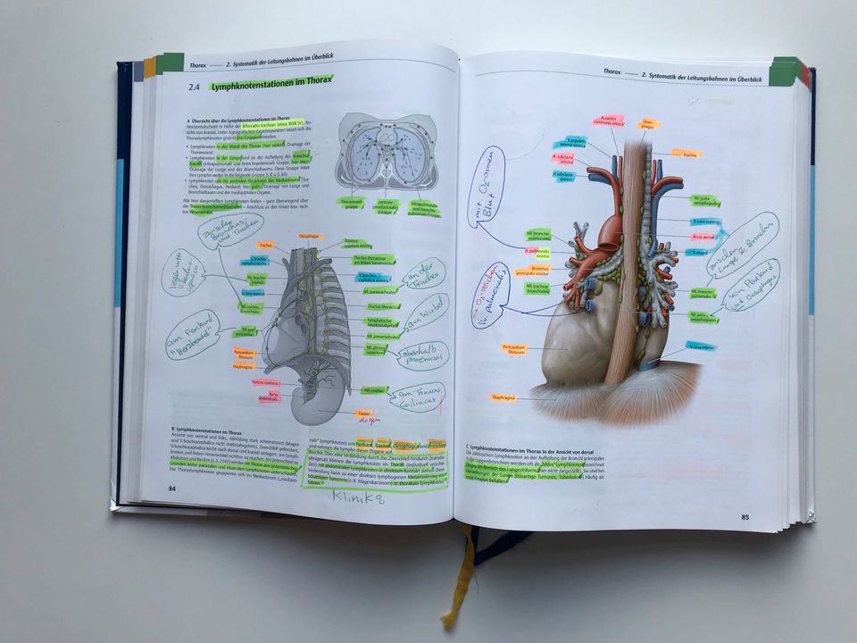 Prometheus Innere Organe Medizin Anatomie 3. Auflage VB in Göttingen