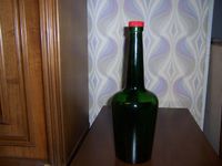 Grüne Glasflasche 40 cm hoch Hessen - Gießen Vorschau