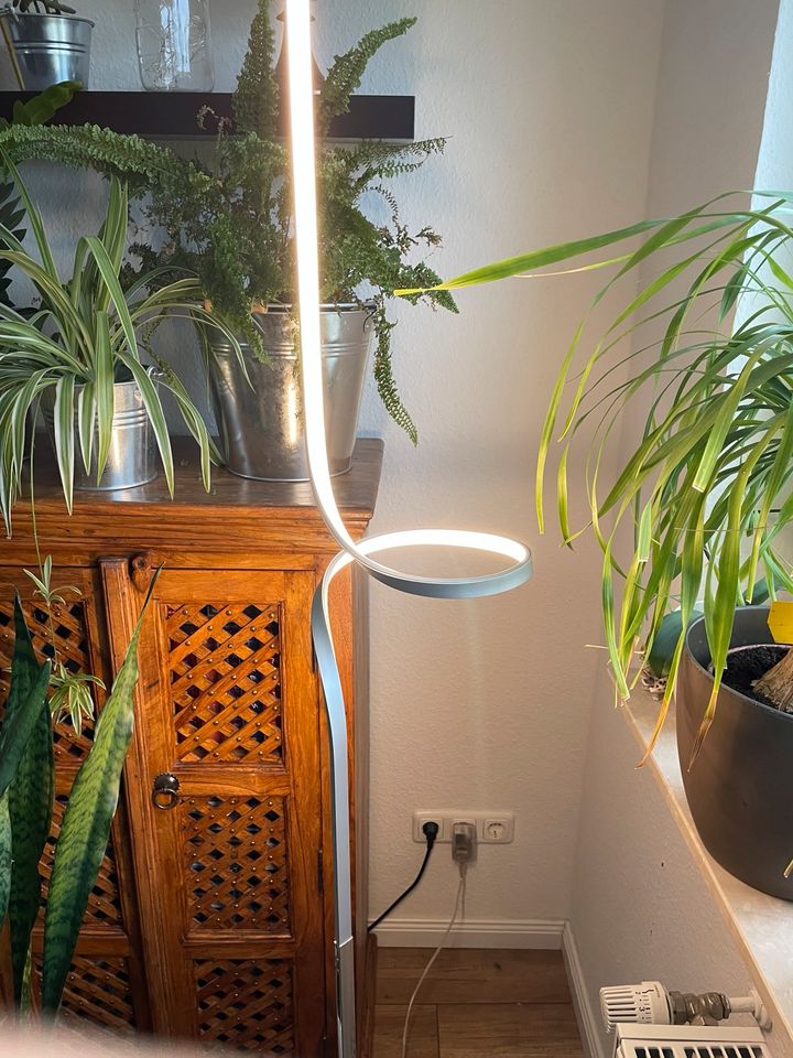 Stehlampe LED in Bruchköbel