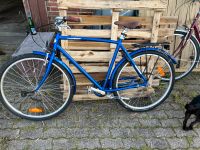 Mustang Herren Fahrrad 28“ ( f. Coop Denmark ) dänischer Cruiser Nordfriesland - Rodenäs Vorschau