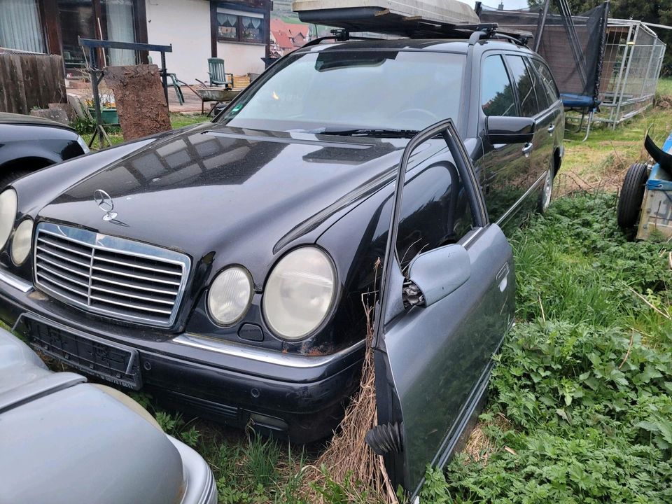 Mercedes E320 S210 W210 Schlachtfest Schlachter Ersatzteile in Rhönblick