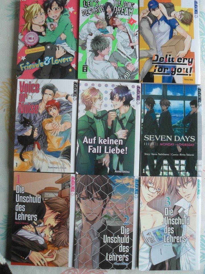 Mangas Manga Comic Japan Lehrer Devils in Dortmund