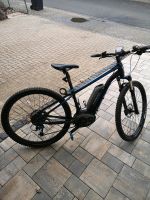 E-Bike Mountainbike Trekpowerfly MTB Trek Sport Hessen - Breitscheid Vorschau