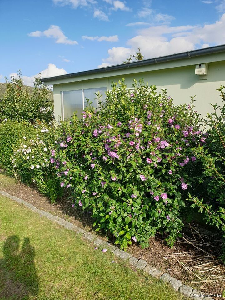 Ferienbungalow in Drigge, inkl. 2 Stellplätze zu verkaufen in Gustow