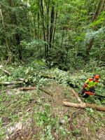 Pachtflächen für Holzlagerung gesucht Bayern - Schwarzenbach am Wald Vorschau