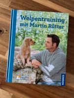 Welpentraining Nordrhein-Westfalen - Bad Lippspringe Vorschau