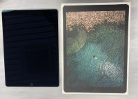 IPad Pro 256 GB Wi-Fi+Cellular Nordrhein-Westfalen - Hamm Vorschau