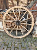 Wagenräder aus Holz unterschiedliche Größen Niedersachsen - Salzgitter Vorschau