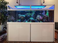 Meerwasseraquarium Hobbyaufgabe 200x60x60 Nordrhein-Westfalen - Neukirchen-Vluyn Vorschau