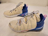 Nike Turnschuh  LeBron 18 - DB8148 - Gr. 45 - fast neu Hessen - Neuenstein Vorschau