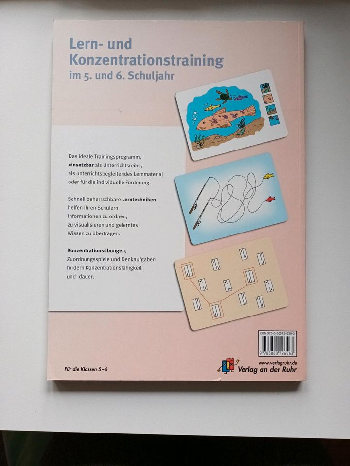 Lern- und Konzentrationstraining im 5. und 6. Schuljahr in Buch