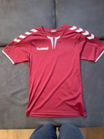 Hummel Sport T-shirt Gr.176 mit Rückenaufdruck Katharina Schleswig-Holstein - Preetz Vorschau