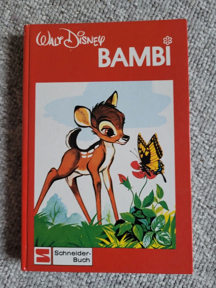 Kinderbücher Das Pony Bambi Leo Lausemaus Franklin in Titz