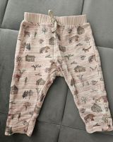 Zara Jogginghose/ Leggins ( nicht eng ) Bayern - Regensburg Vorschau