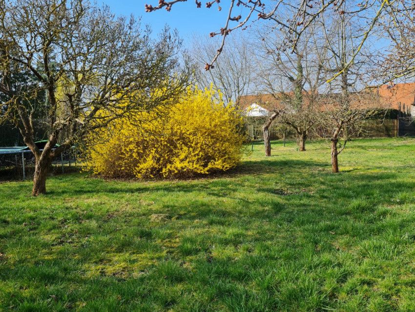 Einfamilienhaus sucht neue Familie! in Zörbig