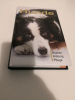 Hunde - Rassen Haltung Pflege Buch Training Friedrichshain-Kreuzberg - Friedrichshain Vorschau