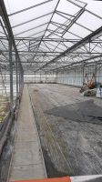 Gärtnerei  Gewächshäuser  zu vermieten  verpachten Nordrhein-Westfalen - Hürth Vorschau