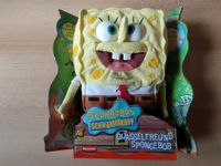 SpongeBob Schwammkopf Hessen - Büttelborn Vorschau