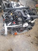 Motor  Audi  A6 A7 SQ5 CVU  326PS  BITURBO  41tkm komplett Mecklenburg-Vorpommern - Neubrandenburg Vorschau