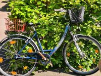 Pegasus 28 Zoll Fahrrad bike Altona - Hamburg Sternschanze Vorschau