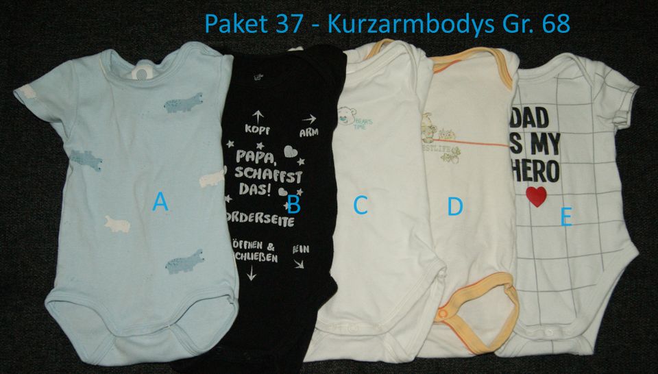 Kleiderpaket 37 - Kurzarmbodys in Gr. 68 in Rödermark