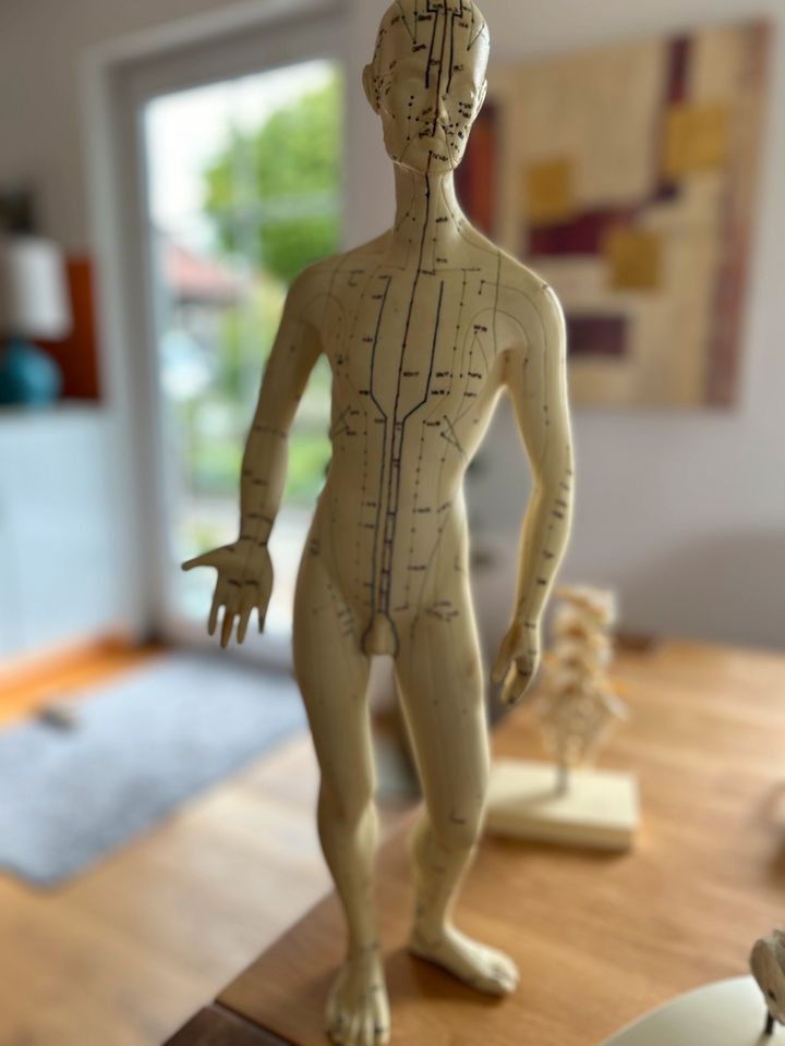 Schnâppchen: Akupunktur Model Mann in Seefeld