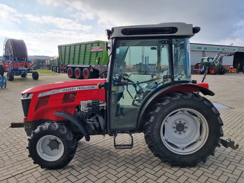 Massey Ferguson 3709 V, Schmalspurtraktor in Twistringen